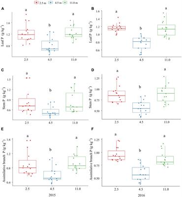 Groundwater Depths Affect Phosphorus and Potassium Resorption but Not Their Utilization in a Desert Phreatophyte in Its Hyper-Arid Environment